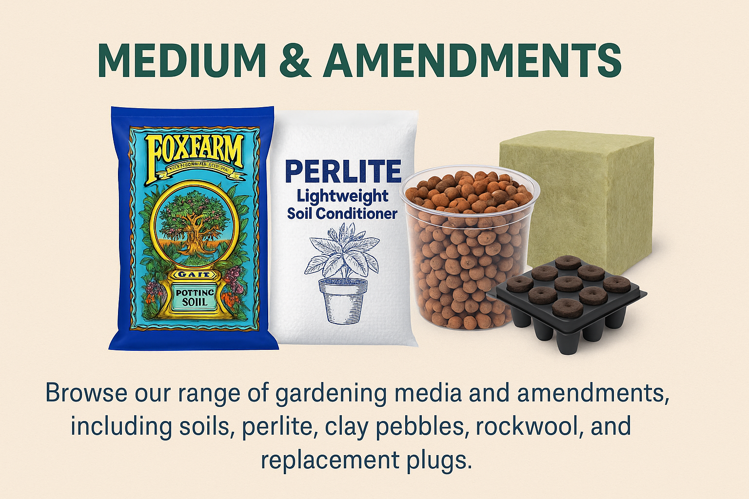 Medium & Amendments