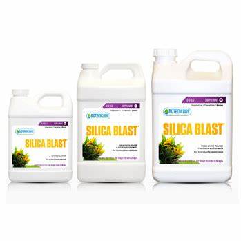 Botanicare Silica Blast 1 Quart – Plant Strengthener for Stress Resistance