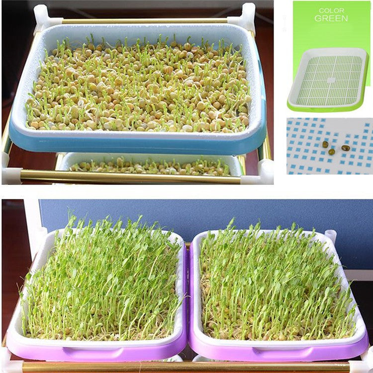 Hydroponic Seedling Tray – Double Layer Sprout Grow Tray