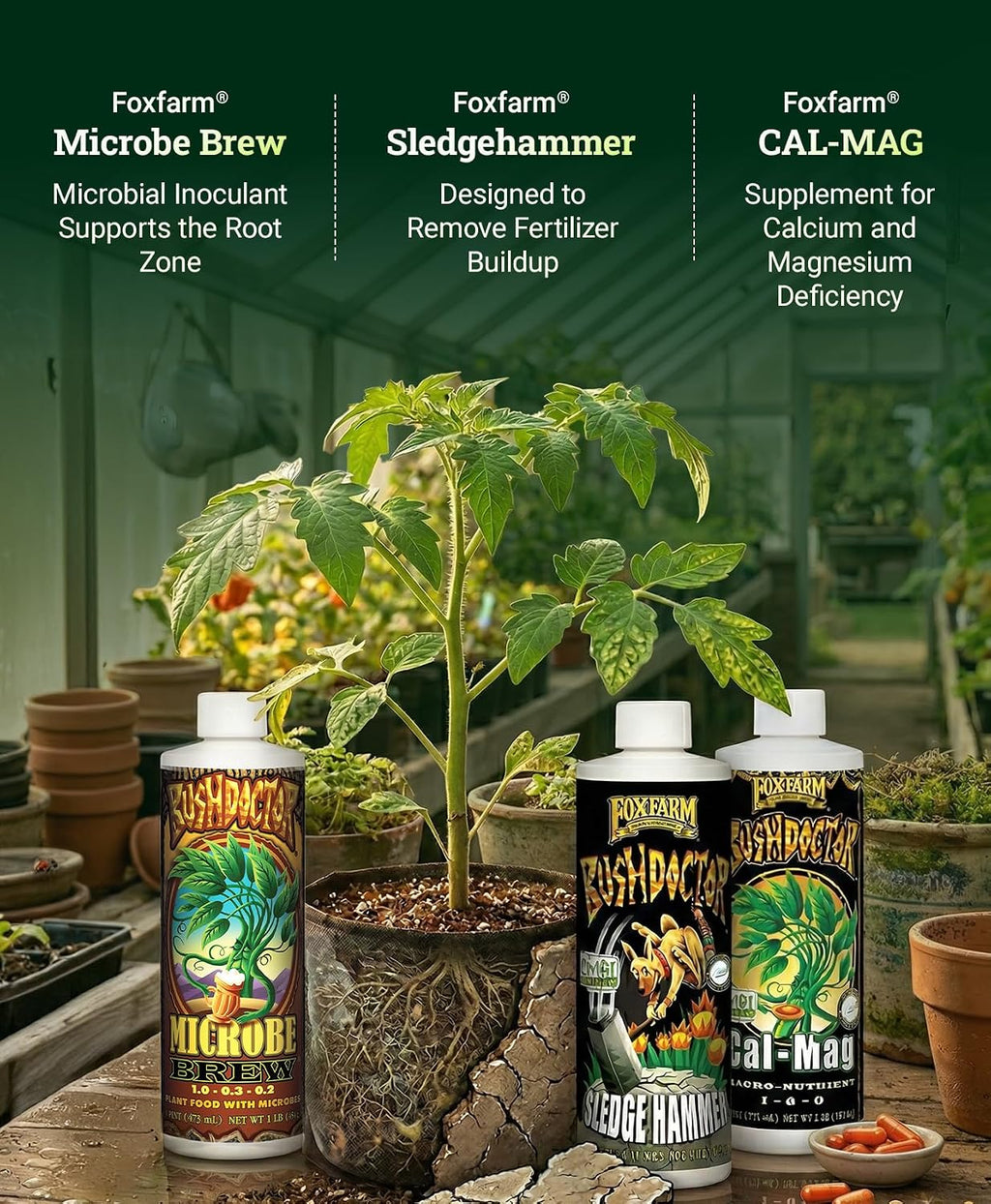 FoxFarm Dirty Dozen Starter Pack – 12-Piece Liquid & Soluble Plant Nutrient Set