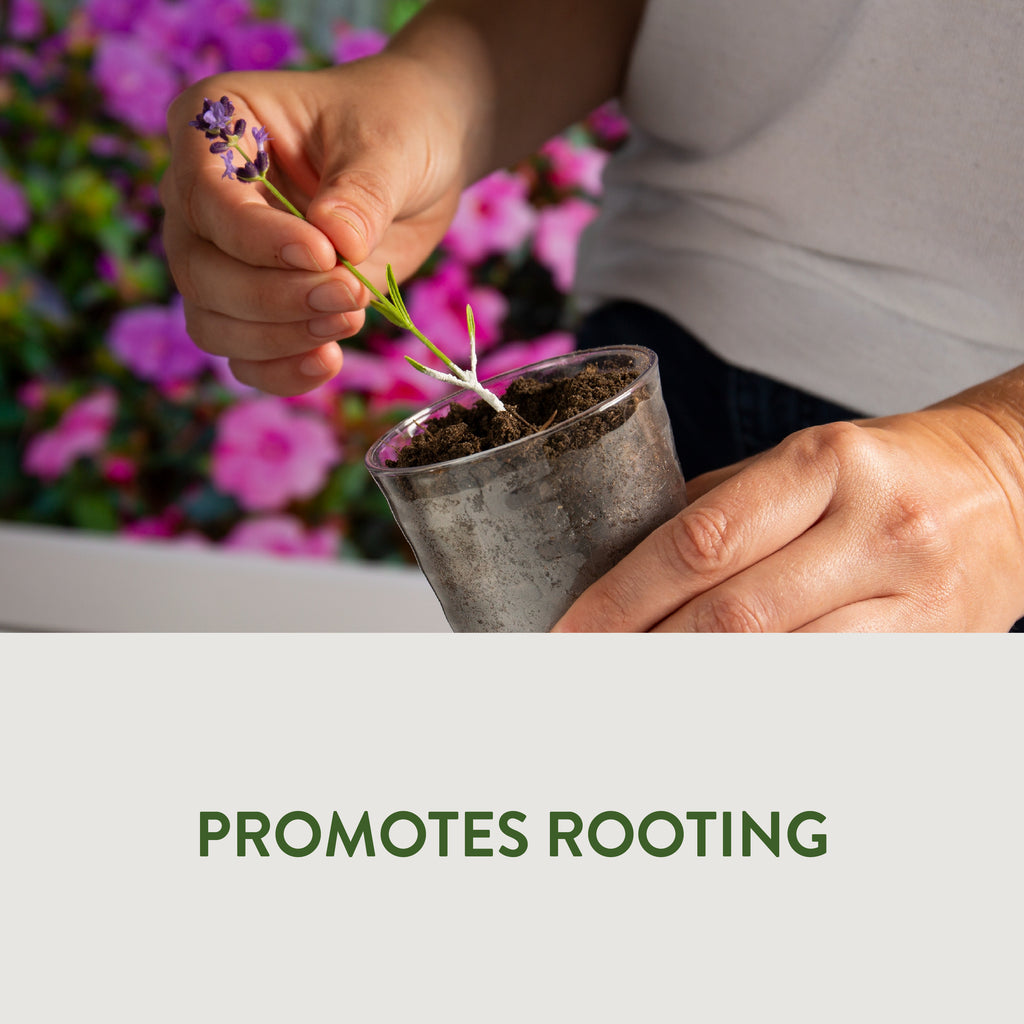 Garden Safe TakeRoot Rooting Hormone Powder 2oz