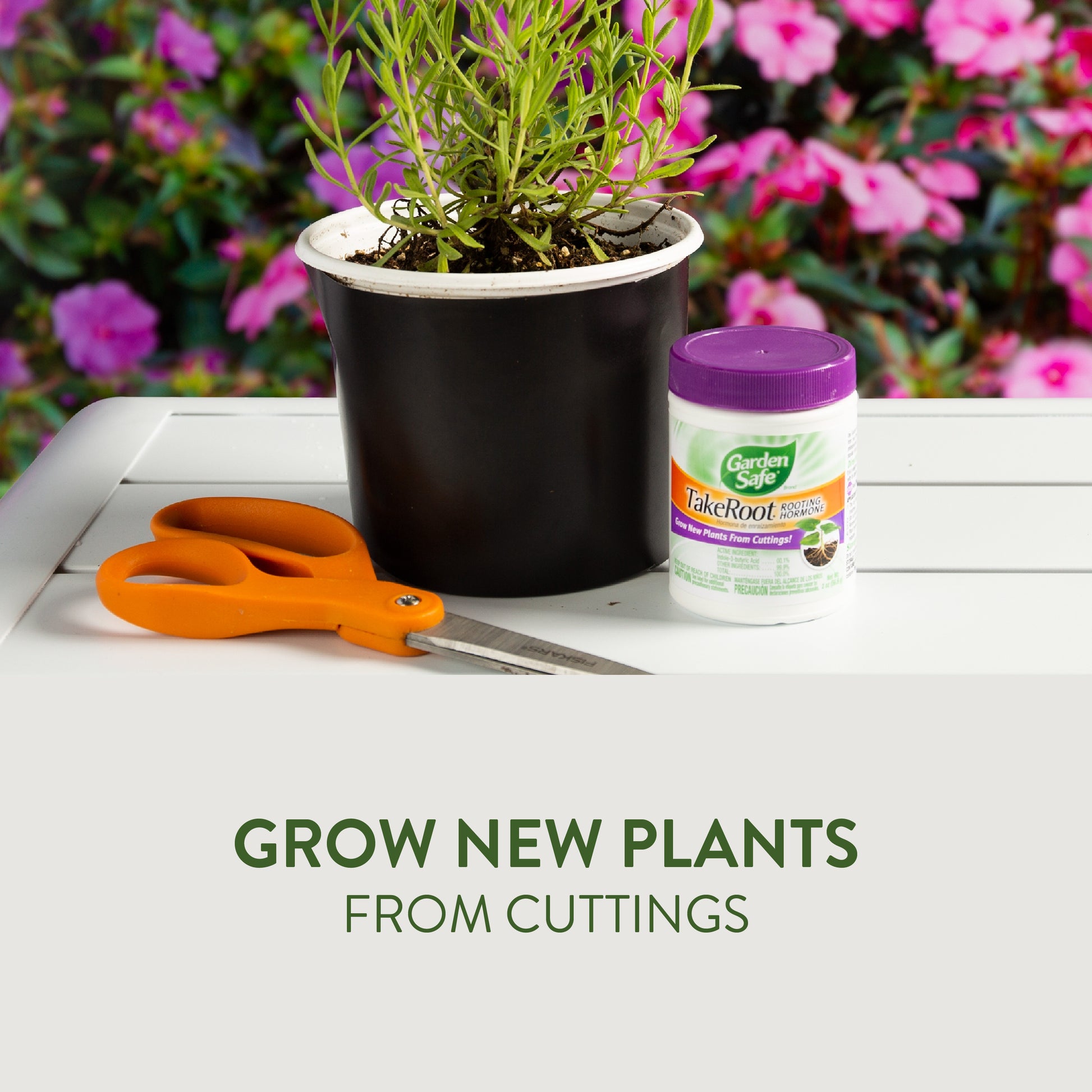 Garden Safe TakeRoot Rooting Hormone Powder 2oz