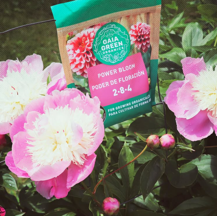 Gaia Green Power Bloom 2-8-4 – Organic Bloom Fertilizer for Vegetables, Herbs & Flowering Plants
